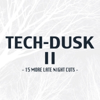 Tech-Dusk, Vol. 2: 15 More Late Night Cuts